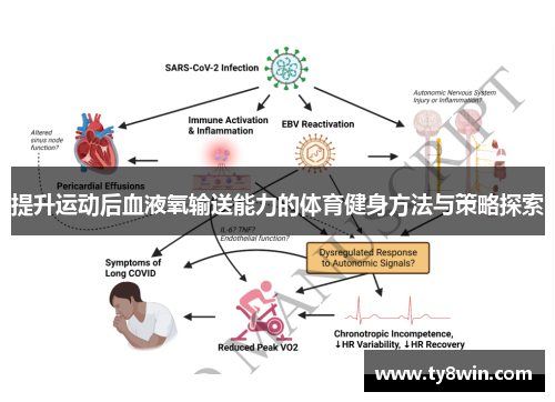 提升运动后血液氧输送能力的体育健身方法与策略探索