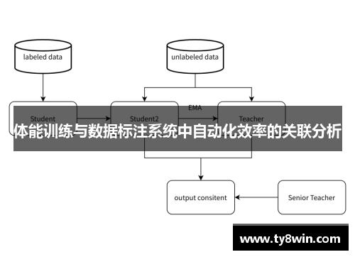 体能训练与数据标注系统中自动化效率的关联分析